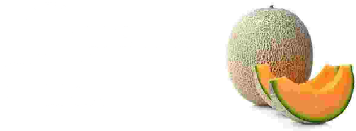 IMAGE QUALITY FUCKER